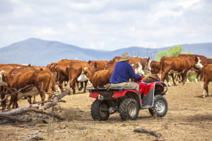 Get business grade support and reduce your down time with Rural Connect